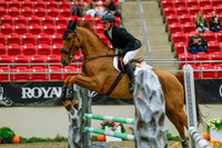 2025 - Haylee - Royal West - Sunday October 19th - 03799
