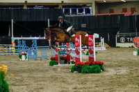 2025 - Haylee - Royal West - Sunday October 19th - 05464