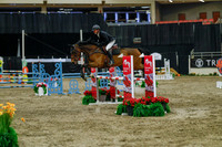 2025 - Haylee - Royal West - Sunday October 19th - 05465