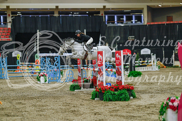 2025 - Haylee - Royal West - Sunday October 19th - 04364