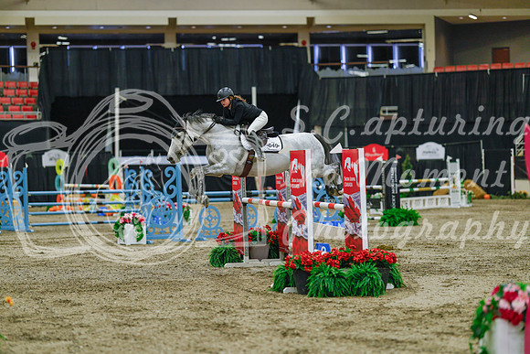 2025 - Haylee - Royal West - Sunday October 19th - 04365