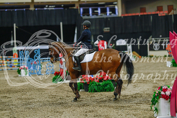 2025 - Haylee - Royal West - Sunday October 19th - 04481