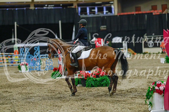 2025 - Haylee - Royal West - Sunday October 19th - 04482