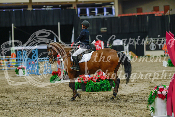 2025 - Haylee - Royal West - Sunday October 19th - 04480