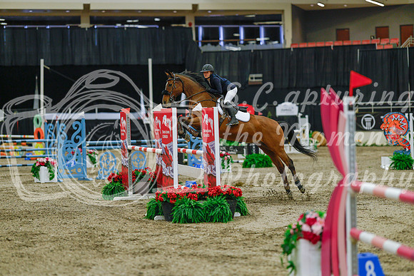 2025 - Haylee - Royal West - Sunday October 19th - 04483