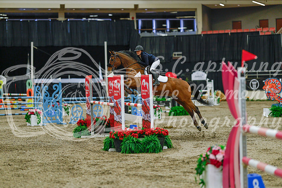 2025 - Haylee - Royal West - Sunday October 19th - 04484
