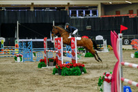 2025 - Haylee - Royal West - Sunday October 19th - 04485