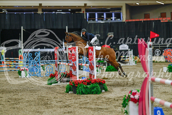 2025 - Haylee - Royal West - Sunday October 19th - 04485