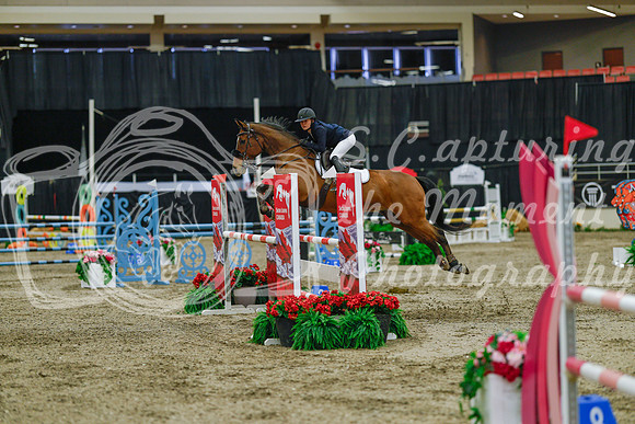 2025 - Haylee - Royal West - Sunday October 19th - 04486