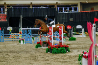 2025 - Haylee - Royal West - Sunday October 19th - 04490