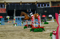 2025 - Haylee - Royal West - Sunday October 19th - 04492