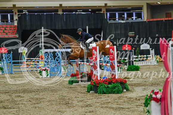 2025 - Haylee - Royal West - Sunday October 19th - 04492