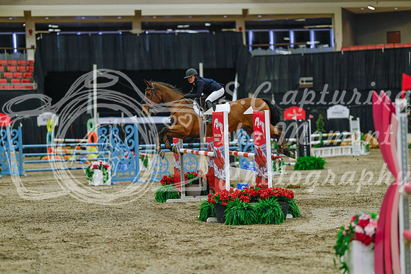 2025 - Haylee - Royal West - Sunday October 19th - 04491
