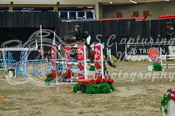 2025 - Haylee - Royal West - Sunday October 19th - 04721