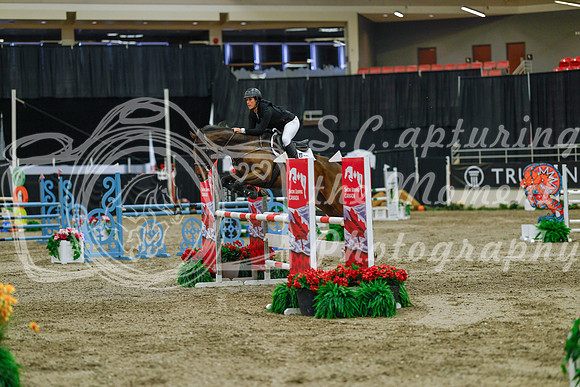2025 - Haylee - Royal West - Sunday October 19th - 04724
