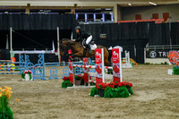 2025 - Haylee - Royal West - Sunday October 19th - 04726