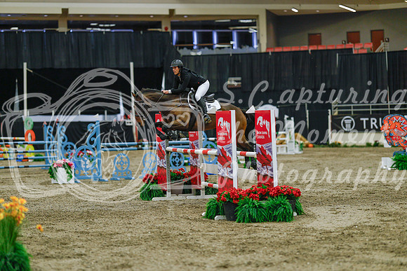 2025 - Haylee - Royal West - Sunday October 19th - 04726