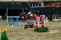 2025 - Haylee - Royal West - Sunday October 19th - 04729
