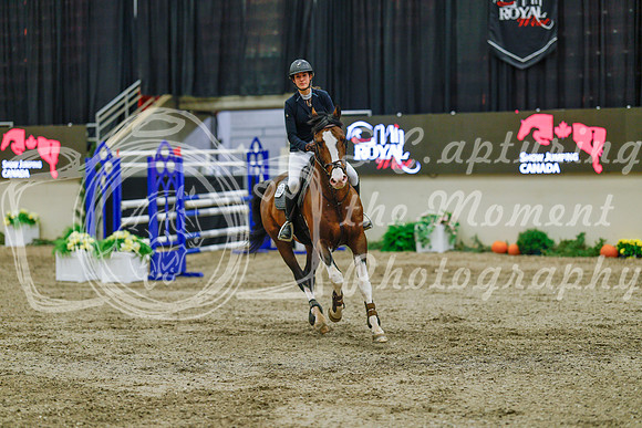 2025 - Haylee - Royal West - Sunday October 19th - 04782