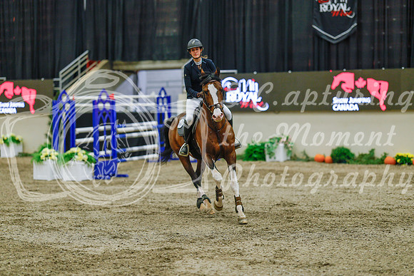 2025 - Haylee - Royal West - Sunday October 19th - 04783