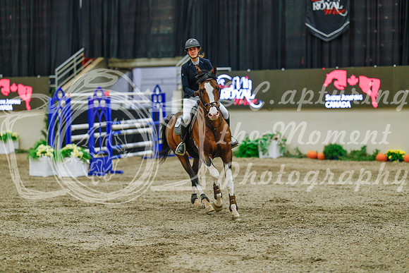 2025 - Haylee - Royal West - Sunday October 19th - 04784