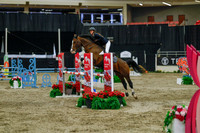 2025 - Haylee - Royal West - Sunday October 19th - 04787