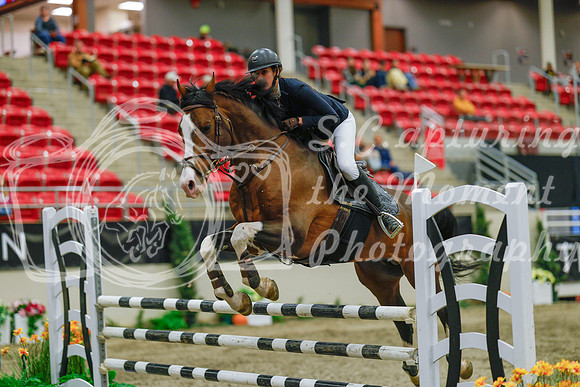 2025 - Haylee - Royal West - Sunday October 19th - 04807