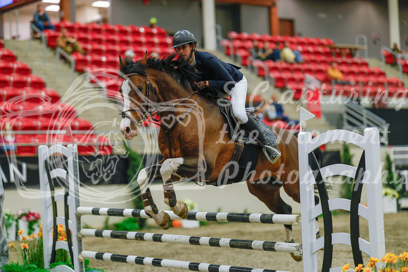 2025 - Haylee - Royal West - Sunday October 19th - 04808