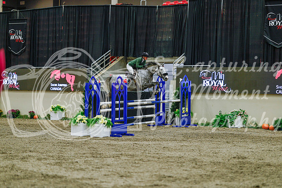 2025 - Haylee - Royal West - Sunday October 19th - 04972