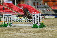 2025 - Haylee - Royal West - Sunday October 19th - 05020