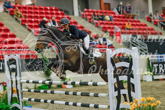 2025 - Haylee - Royal West - Sunday October 19th - 05027