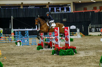 2025 - Haylee - Royal West - Sunday October 19th - 05059