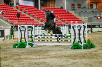 2025 - Haylee - Royal West - Sunday October 19th - 05256