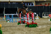 2025 - Haylee - Royal West - Sunday October 19th - 05339