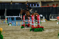 2025 - Haylee - Royal West - Sunday October 19th - 05340