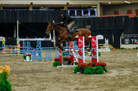 2025 - Haylee - Royal West - Sunday October 19th - 05343