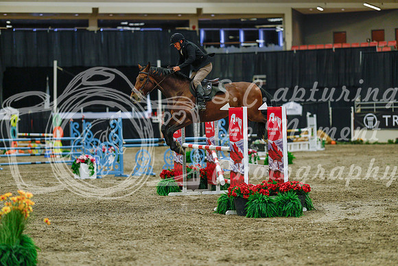 2025 - Haylee - Royal West - Sunday October 19th - 05344