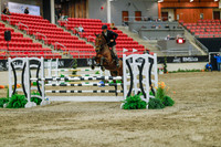 2025 - Haylee - Royal West - Sunday October 19th - 05355
