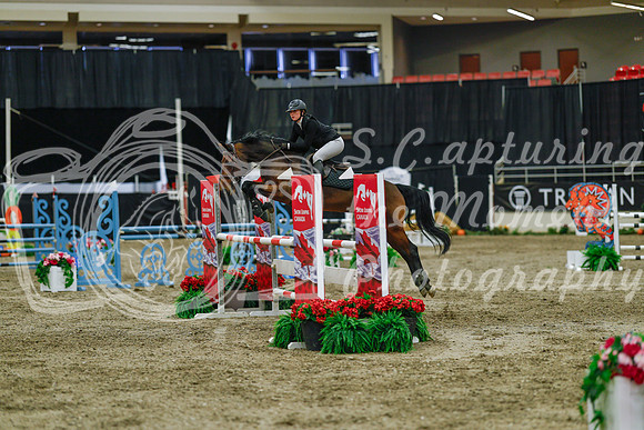 2025 - Haylee - Royal West - Sunday October 19th - 05404