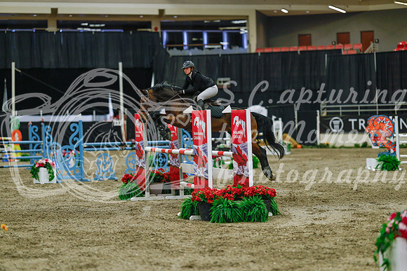 2025 - Haylee - Royal West - Sunday October 19th - 05405