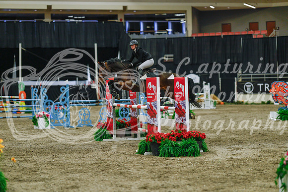 2025 - Haylee - Royal West - Sunday October 19th - 05407