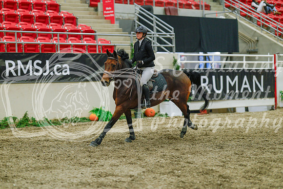 2025 - Haylee - Royal West - Sunday October 19th - 05411