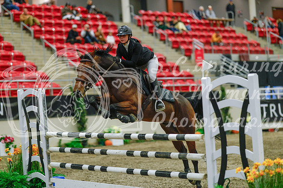 2025 - Haylee - Royal West - Sunday October 19th - 05423