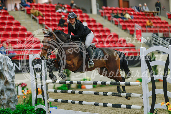 2025 - Haylee - Royal West - Sunday October 19th - 05427