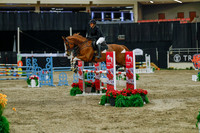 2025 - Haylee - Royal West - Sunday October 19th - 04714