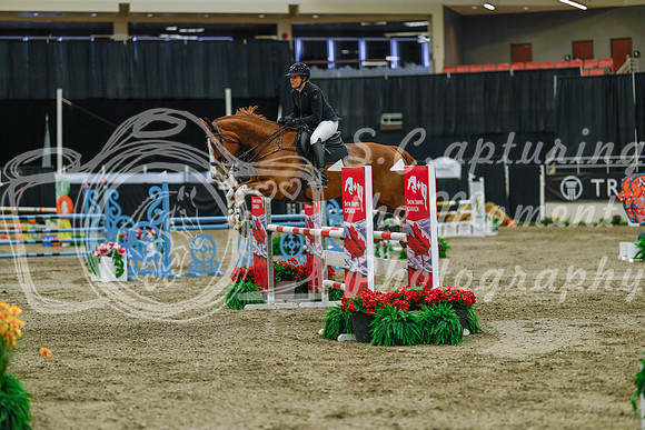 2025 - Haylee - Royal West - Sunday October 19th - 04714