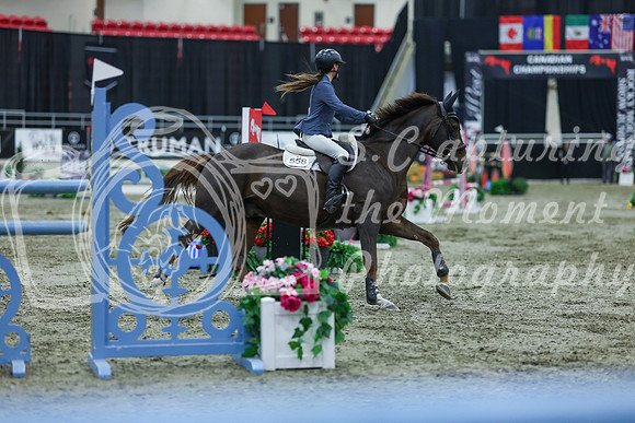 2025 - Shea - Royal West - Sunday October 19th - 07245