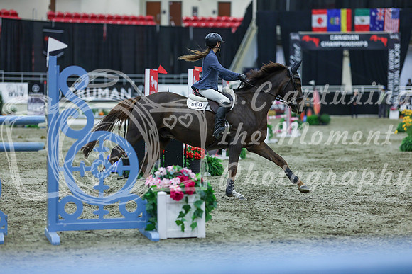 2025 - Shea - Royal West - Sunday October 19th - 07246