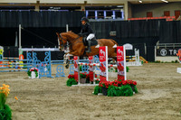 2025 - Haylee - Royal West - Sunday October 19th - 04715