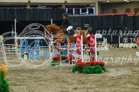 2025 - Haylee - Royal West - Sunday October 19th - 04715